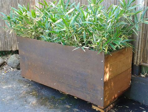 bamboo steel planter box|growing bamboo in planter boxes.